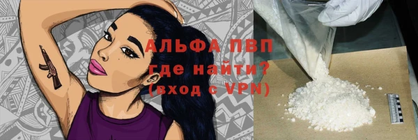 гашик Алексин