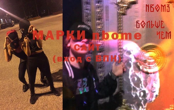 гашик Алексин