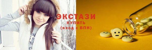 гашик Алексин