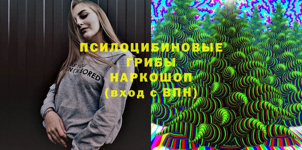 гашик Алексин
