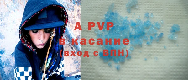 гашик Алексин