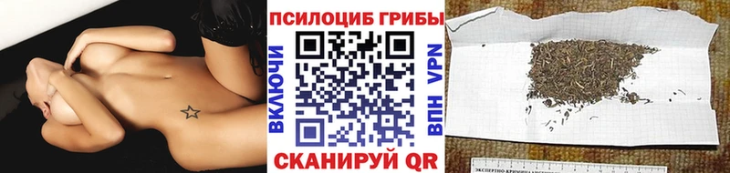 МЕГА ССЫЛКА дарк нет состав Псилоцибиновые грибы GOLDEN TEACHER Муром